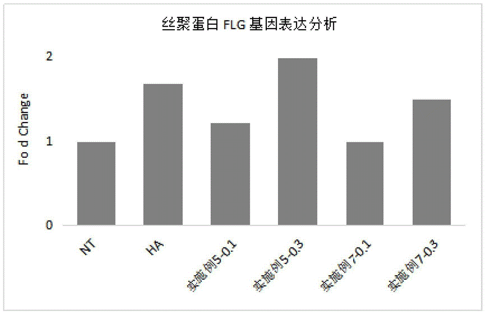 一种具有屏障修护、抗衰老功效的组合物及其制备方法和应用与流程