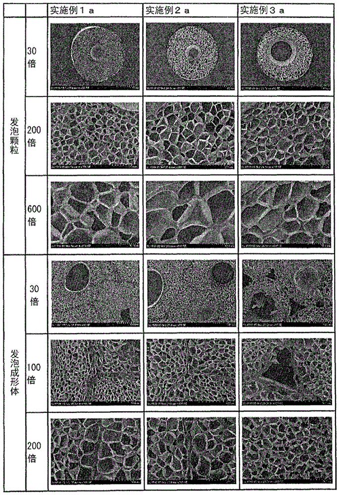 发泡颗粒和发泡成形体的制作方法