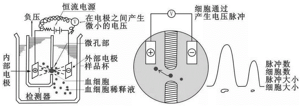 血球分析仪的阻抗法检测系统和识别阻抗通道堵孔的方法与流程