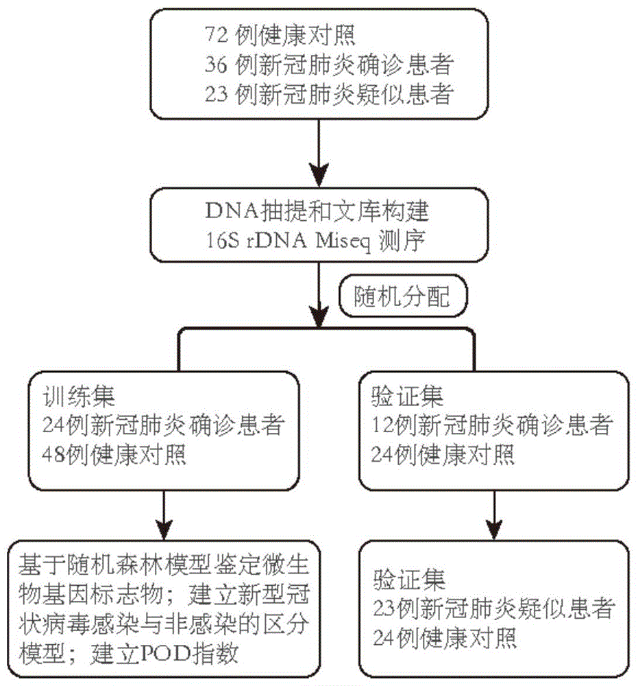 一种用于新型冠状病毒感染患者无创诊断的肠道微生物基因标志物及其应用