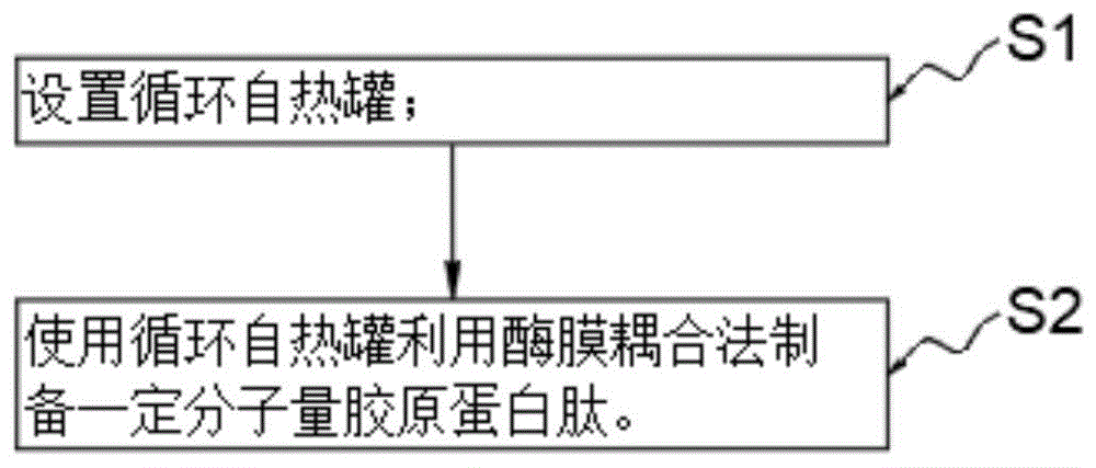 基于酶膜耦合法的循环自热罐制备胶原蛋白肽的方法