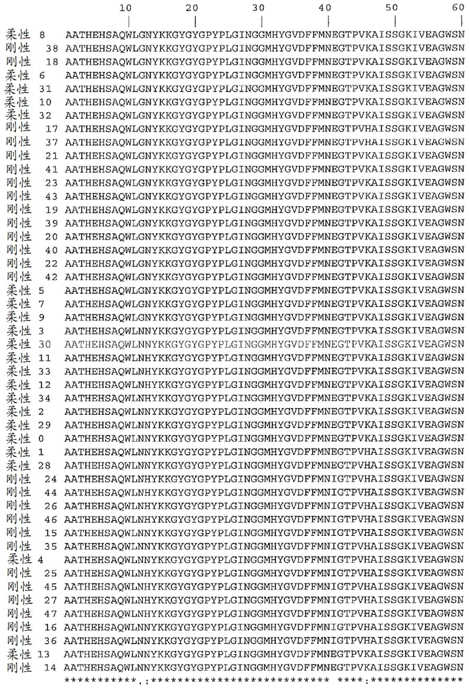 去免疫化溶葡萄球菌酶和使用方法