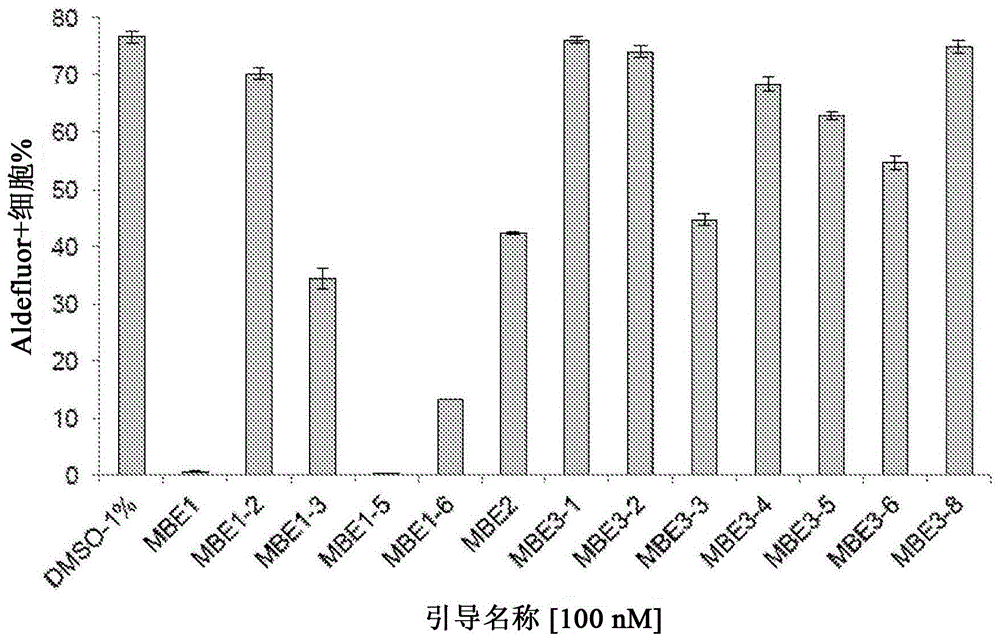 用于治疗转移性和化疗耐受性癌症的四氢喹啉衍生物