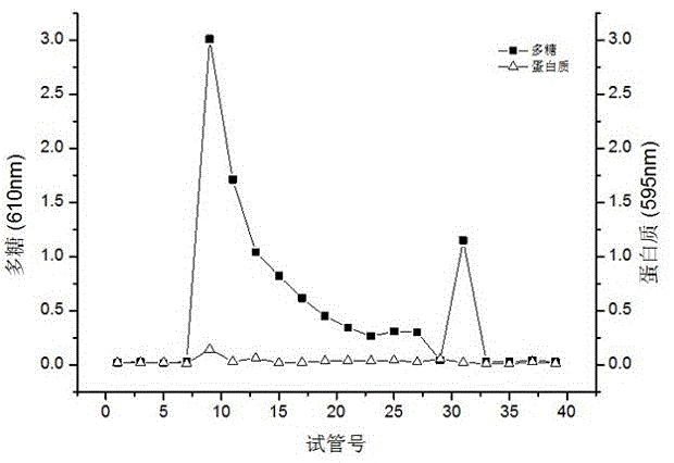 桑黄发酵液多糖在抗禽流感病毒药物中的应用