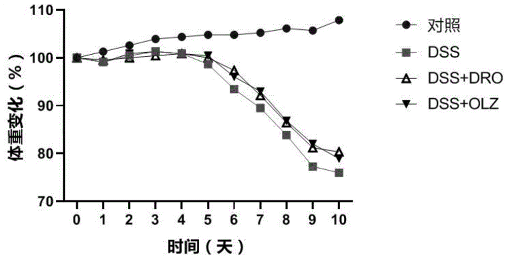 决奈达隆在制备防治结肠炎的药物中的应用