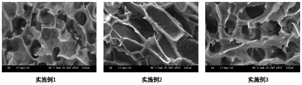 一种多孔抗菌水凝胶敷料及其制备方法与流程