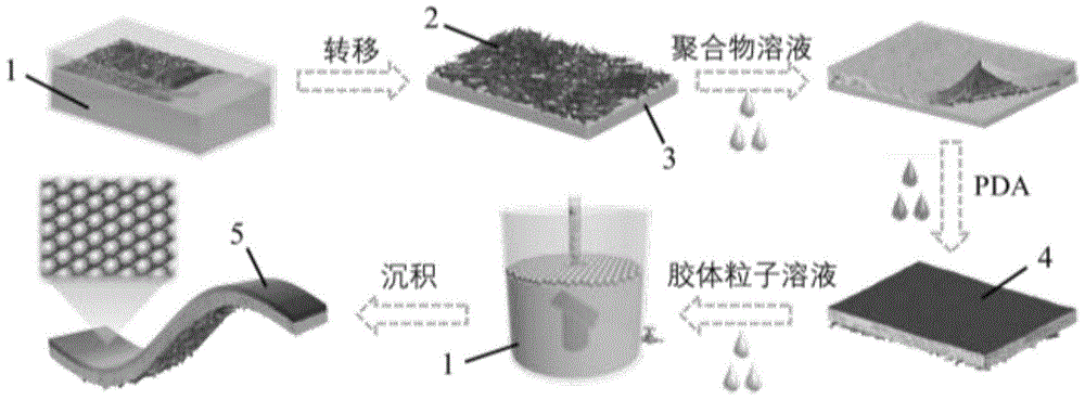 一种近红外驱动的可视化Janus结构色软体机器人及其制备方法与流程