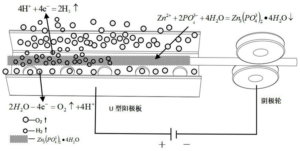 一种锌系电解磷化钢丝的磷化膜重量控制方法与流程