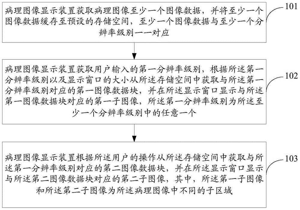 病理图像显示方法、装置、电子设备及存储介质与流程