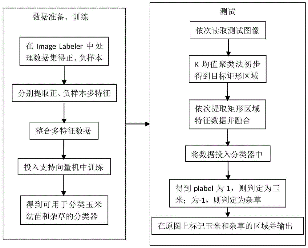 一种多特征融合杂草检测方法