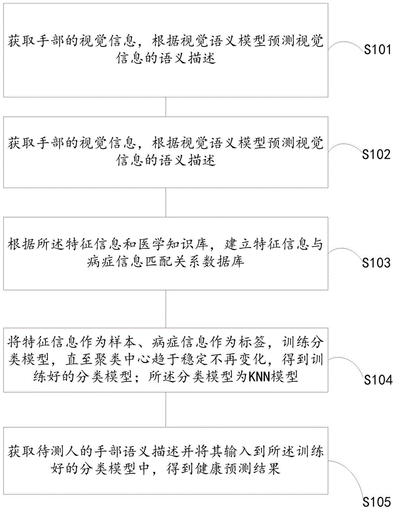 一种基于手部形态认知的健康预测模型的构建方法及装置与流程