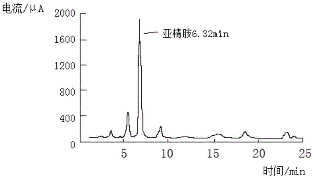 一种从动物肌肉组织中提取亚精胺的方法