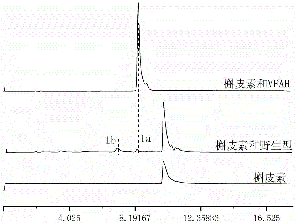 一种生物催化合成多种黄酮苷的方法