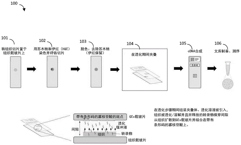 成像系统硬件的制作方法