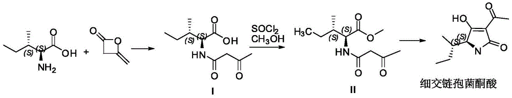 细交链格孢菌酮酸及其衍生物的制备方法