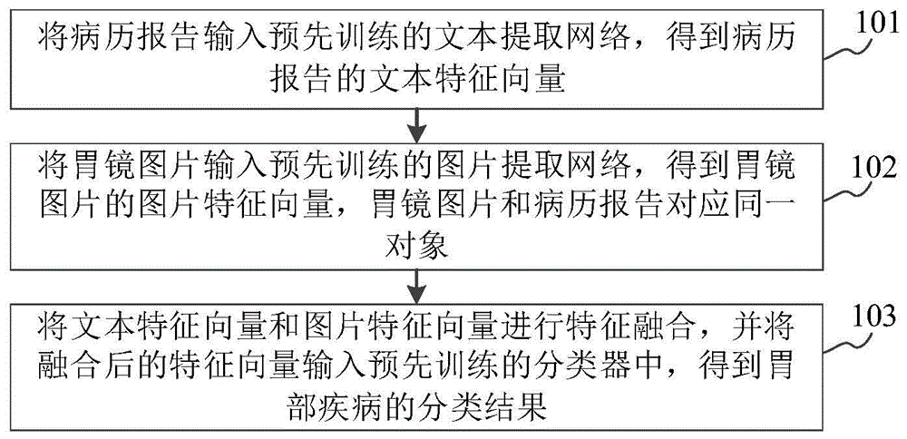 基于文本和图片的双模态胃部疾病分类方法及装置与流程