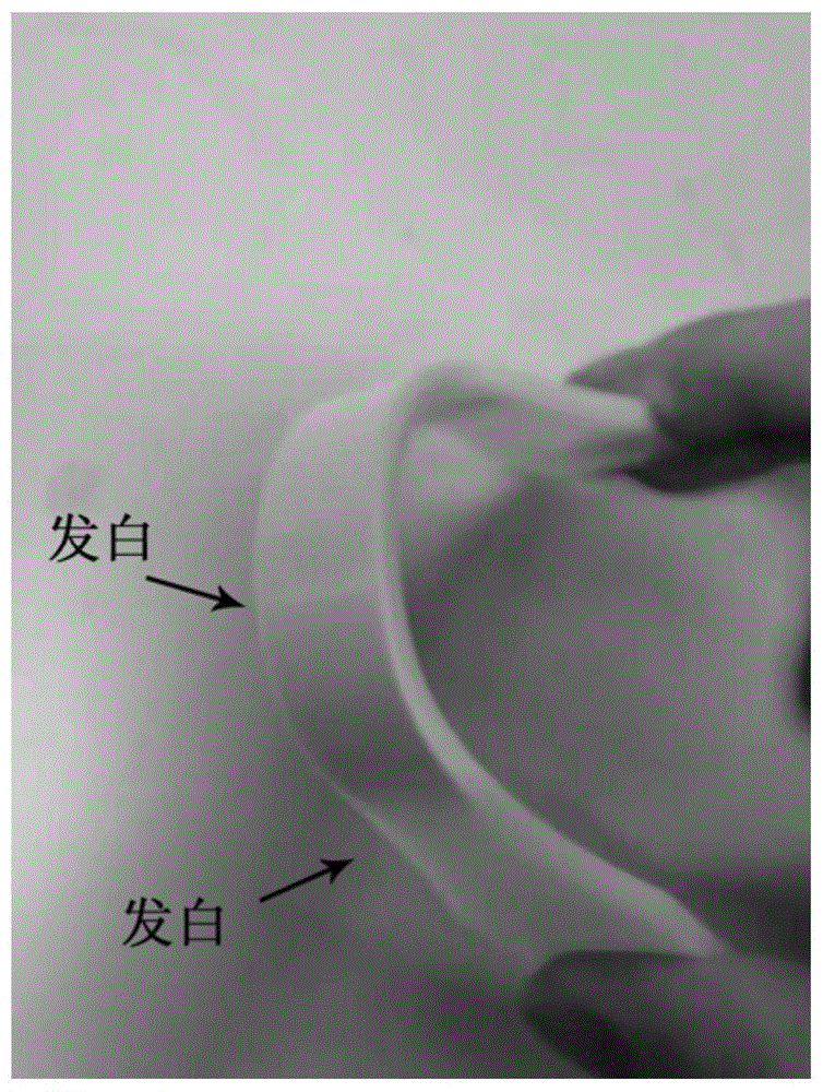 一种高强度且折叠不发白的PP/PE合金及其制备方法与流程