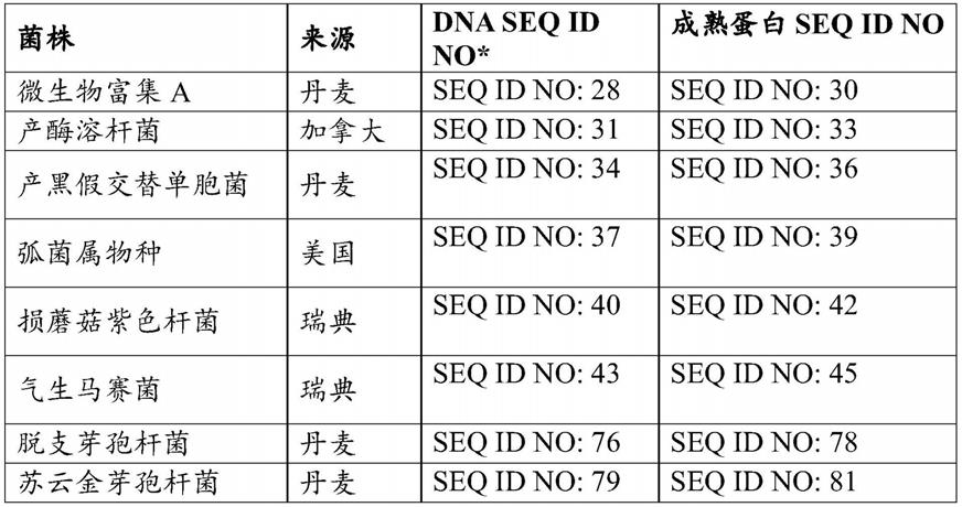 具有核酸酶活性的多肽的制作方法