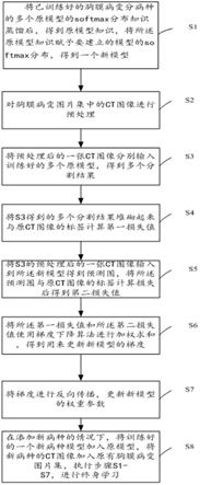 基于终身学习的胸膜病变分割的知识蒸馏方法及装置与流程