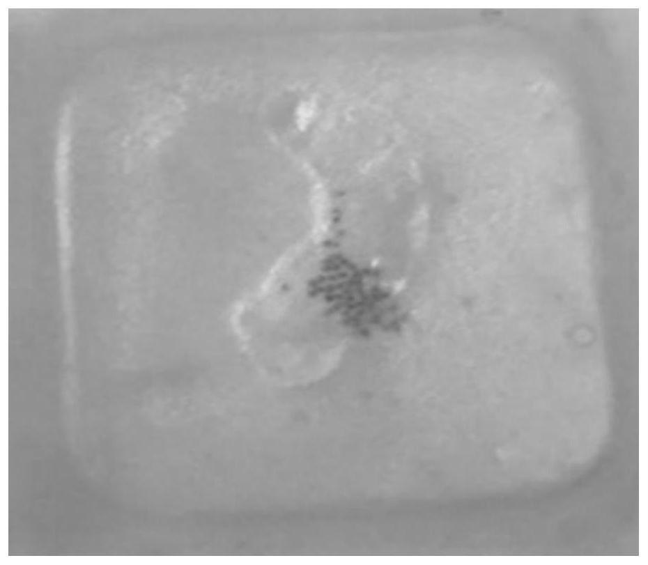 一种3D细胞微球石蜡切片方法与流程