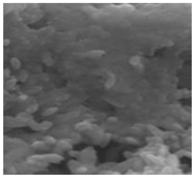 一种负载纳米零价铁的多孔聚吡咯纳米薄膜及制备方法和应用与流程