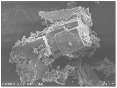 一种氮掺杂碳量子点/金属有机框架材料MOF-5光催化剂及其制备方法和应用