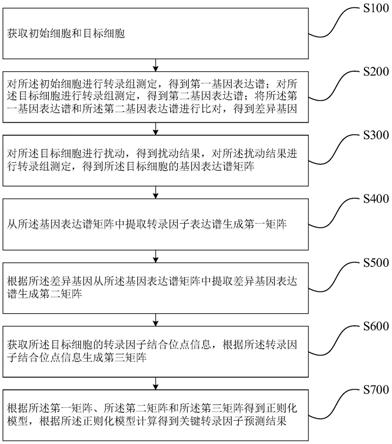 一种分析细胞命运转换关键转录因子的方法及系统