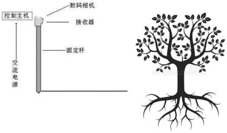 树枝分布密度即时检测系统的制作方法