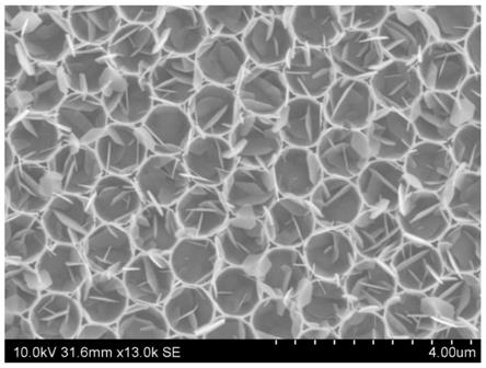 一种SnS2二维有序纳米孔薄膜、制备方法及其应用