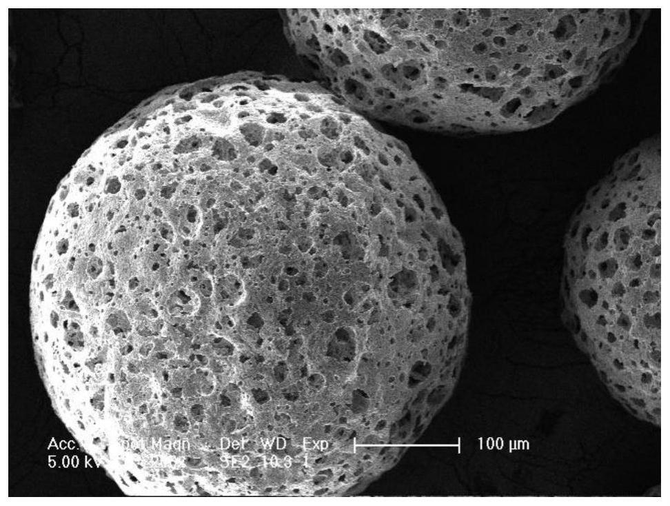 一种无干细胞和生长因子负载的可注射聚（4-羟基丁酸酯）（P4HB）多孔微球制剂