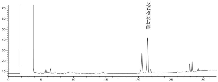 一种降香组合物及其应用的制作方法