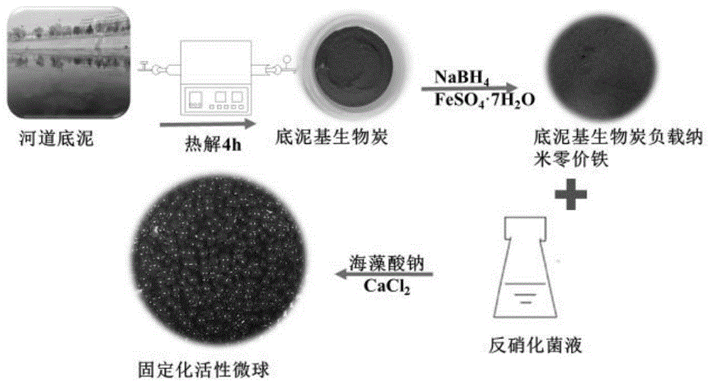 一种底泥基生物炭负载纳米零价铁固定反硝化菌活性微球的制备方法、产品及应用