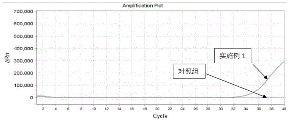 一种全预混RT-PCR反应体系及其应用的制作方法