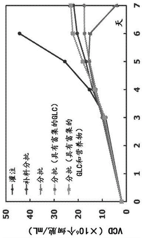 生产重组蛋白的方法与流程