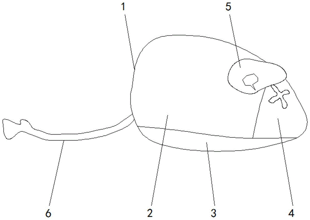 一种宠物玩具的制作方法