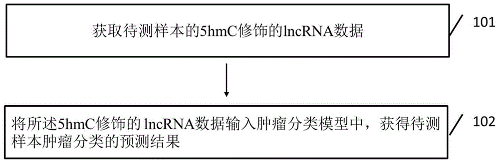 基于5hmC修饰的lncRNA的肿瘤分类装置