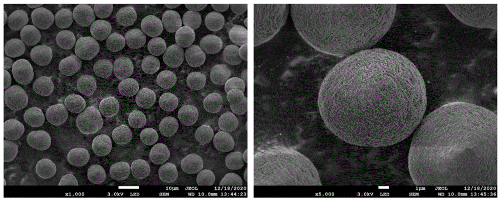 一种用于电镜观察的微米级球形颗粒截面的制备方法