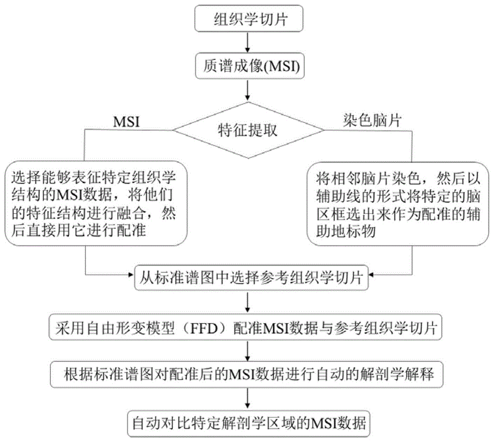 一种质谱成像数据的自动配准方法