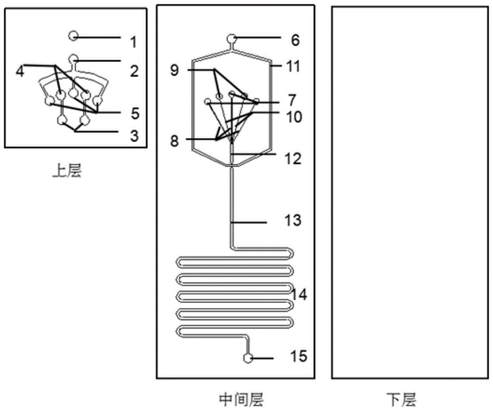 一种基于双水相的多液核水凝胶微囊芯片及其应用