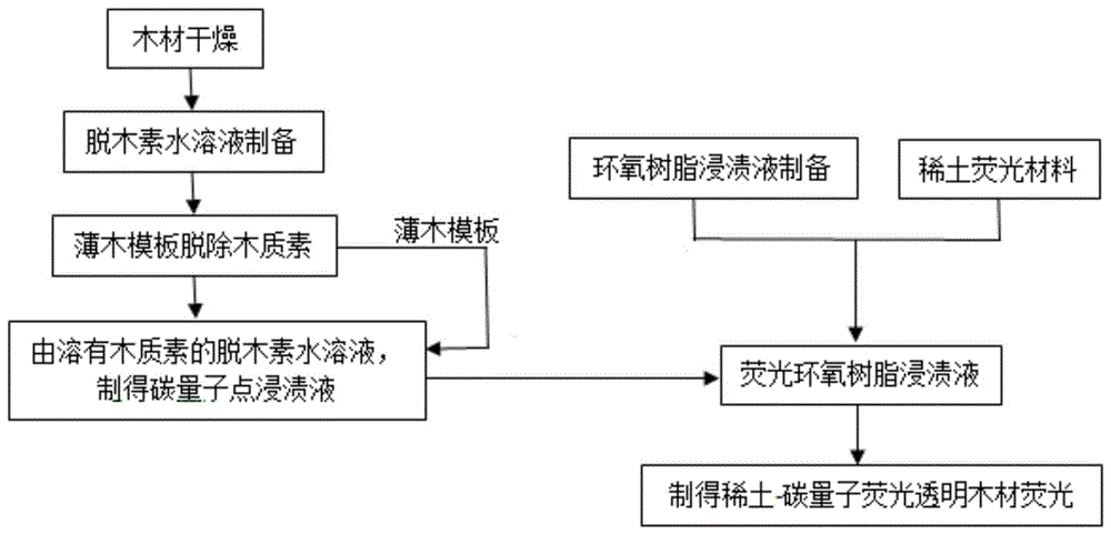 稀土-碳量子点荧光透明木材的制备方法及荧光透明木材