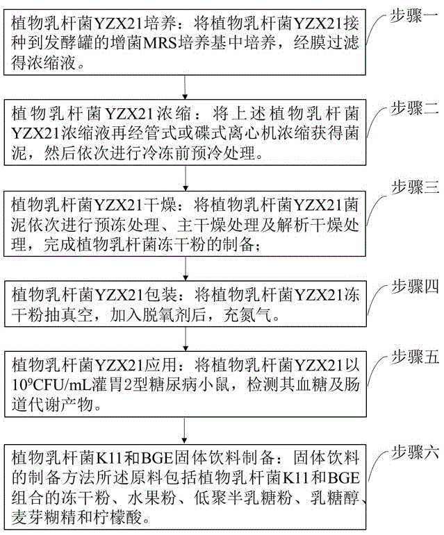 一种降糖植物乳杆菌YZX21功效及应用