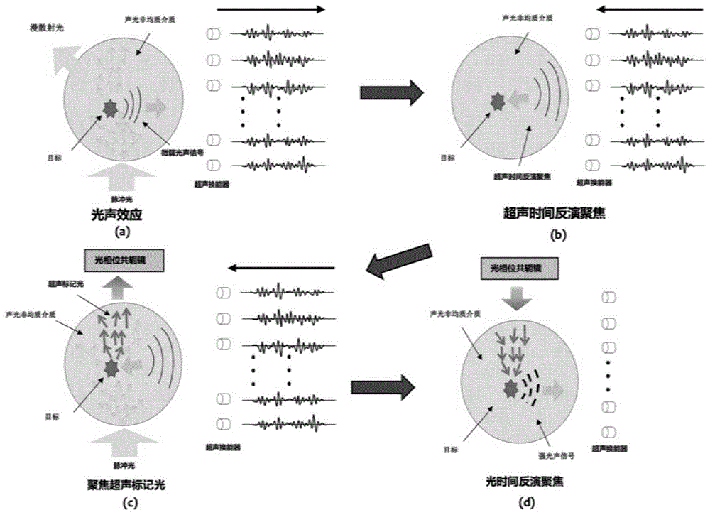 一种光声信号反演引导的时间反演超声编码光聚焦方法