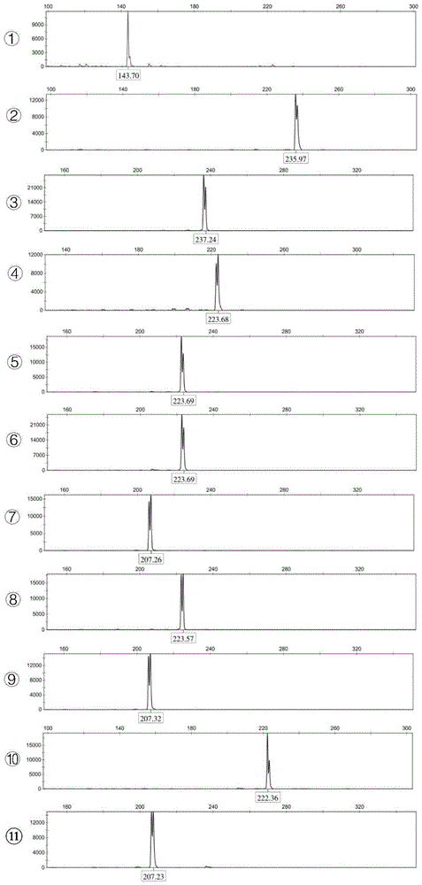 一种真姬菇Finc-B-7菌种的SSR标记指纹图谱及其构建方法与应用与流程