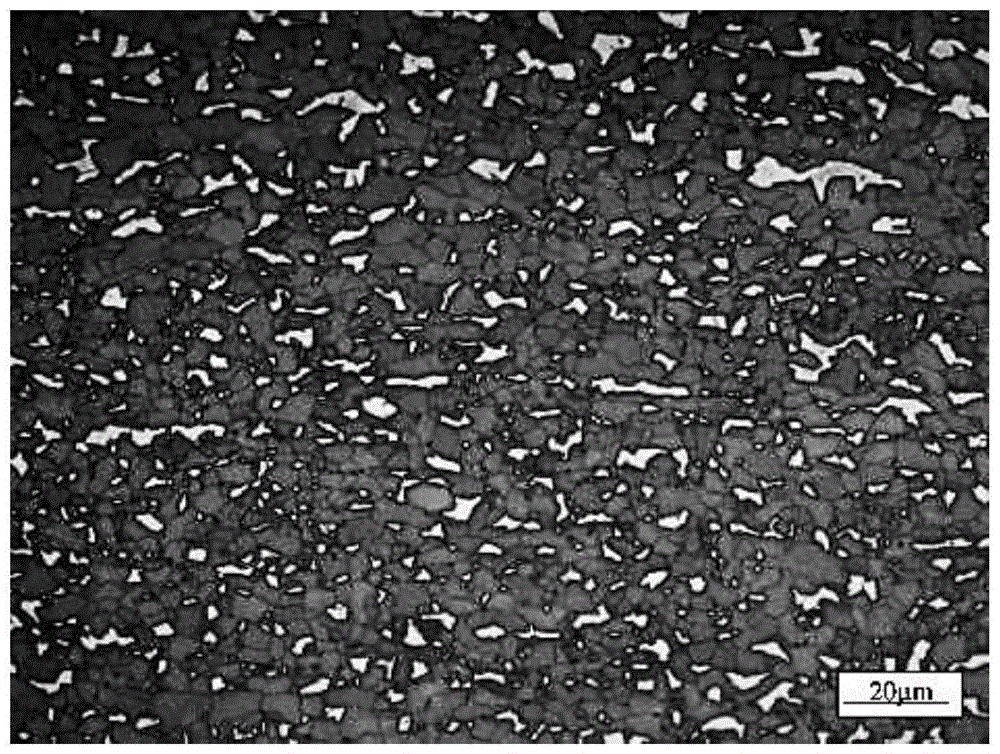 一种铁素体马氏体双相钢的显微组织显示方法与流程