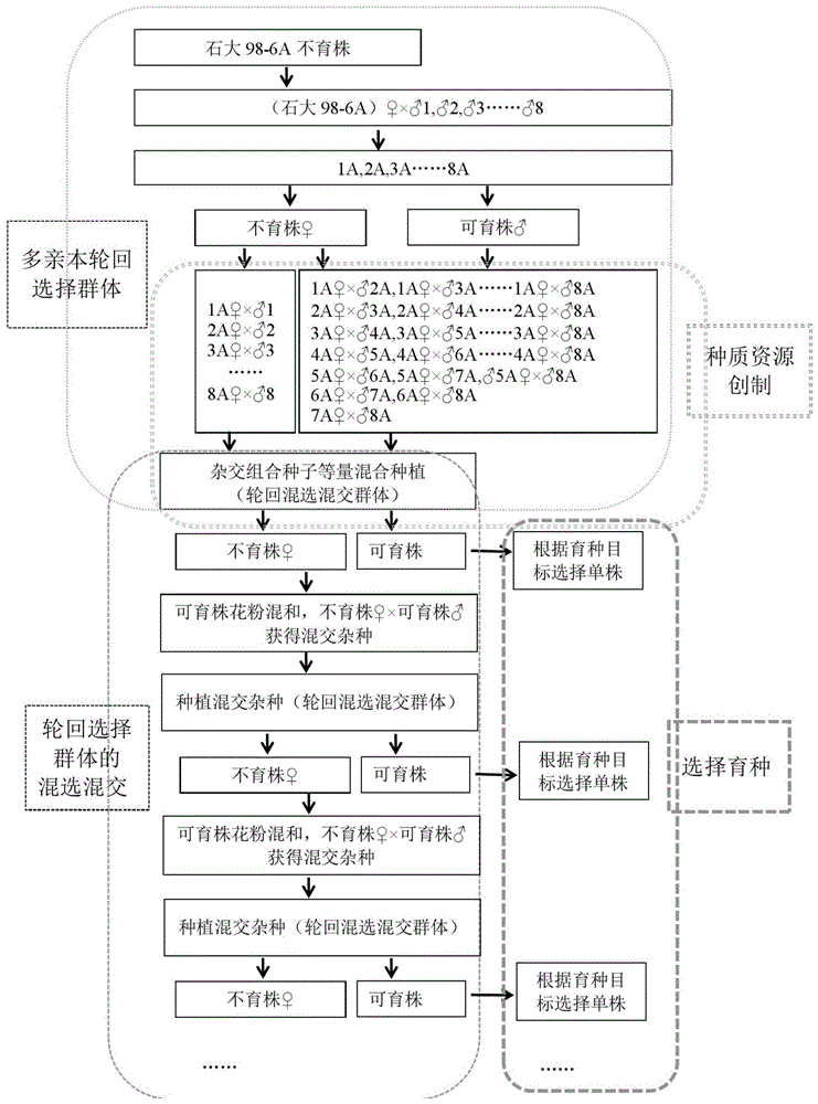 一种基于单基因显性核不育的陆地棉的轮回选择育种方法