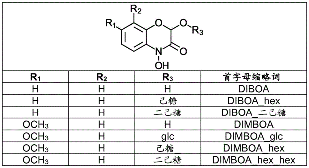 包含麦芽化小麦的可消耗产品的制作方法