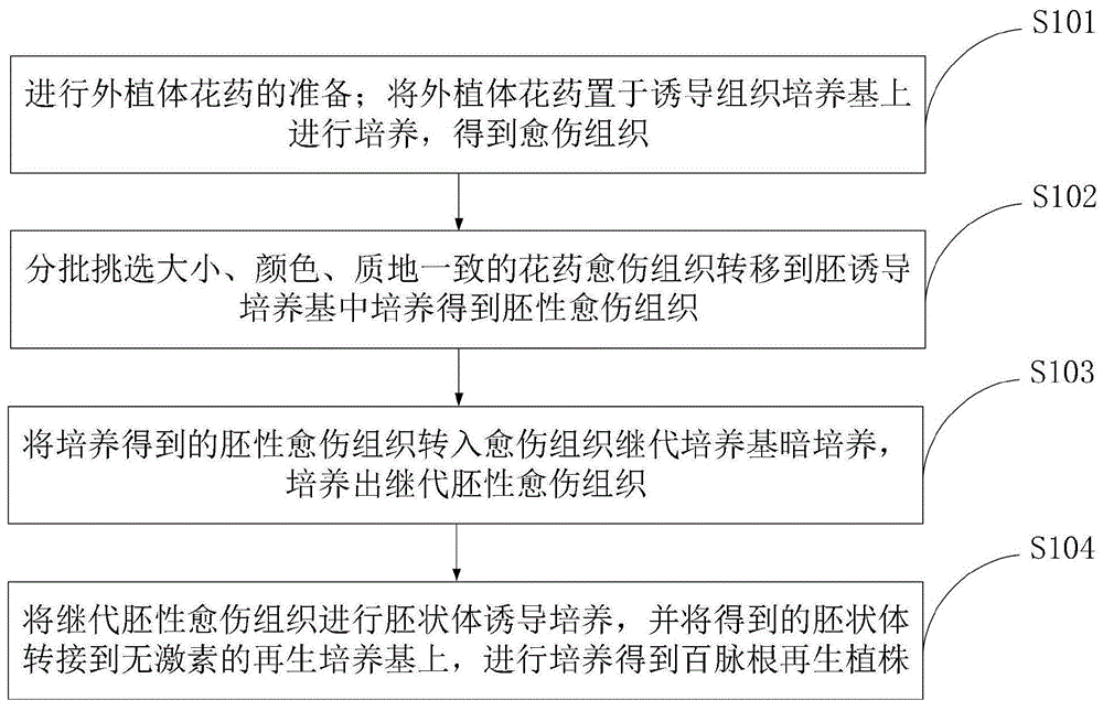 一种花药培养获得百脉根再生植株的方法与流程