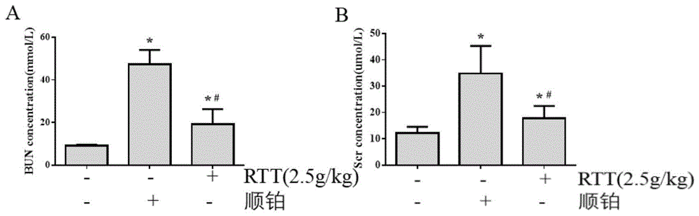 猫爪草提取物制备治疗顺铂致急慢性肾损伤药物中的应用