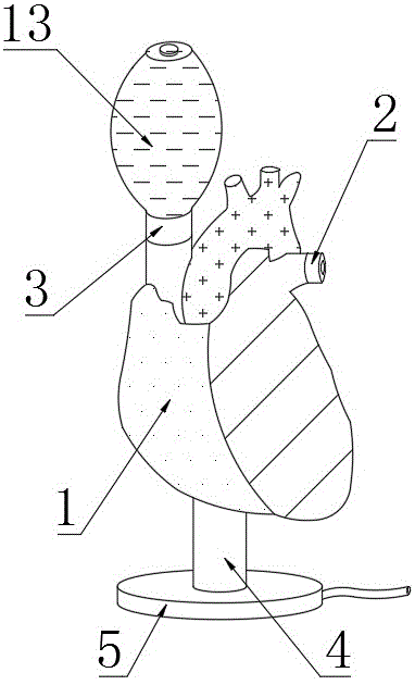 一种模拟心肌缺血再灌注的装置