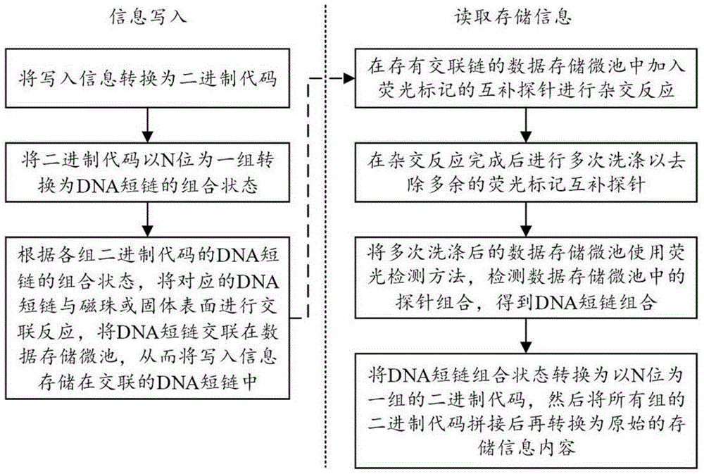 一种基于DNA短链杂交的信息存储方法